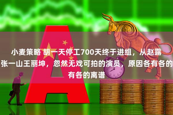 小麦策略 胡一天停工700天终于进组，从赵露思到张一山王丽坤，忽然无戏可拍的演员，原因各有各的离谱