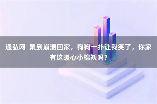 通弘网  累到崩溃回家，狗狗一扑让我笑了，你家有这暖心小棉袄吗？