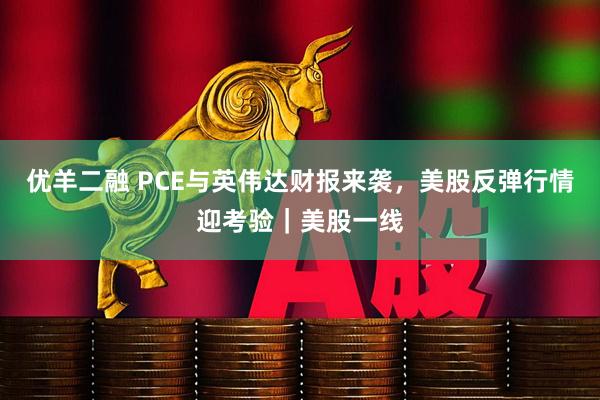 优羊二融 PCE与英伟达财报来袭，美股反弹行情迎考验｜美股一线