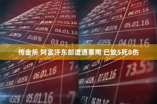 传金所 阿富汗东部遭遇暴雨 已致5死8伤