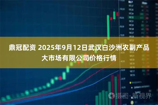 鼎冠配资 2025年9月12日武汉白沙洲农副产品大市场有限公司价格行情